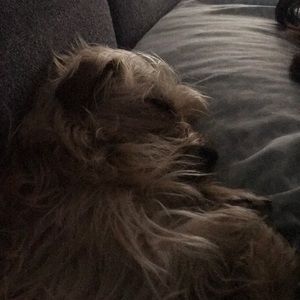 Meet your Posher, Mike